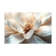 thumbnail image 5 of Mudket Framed Canvas Wall Art Ready to Hang, White Magnolia Flower Close Up Floral Canvas Wall Art, Vintage Botanical Wall Decor, Flower Wall Art, Wall Pictures for Living Room - 12"L x 8"W, 5 of 10