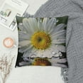 thumbnail image 2 of Chilfamy Daisy Print Throw Pillow Covers Decorative Pillow Cover Square Cushion Cases Soft Cushion Cover Throw Sofa Pillow Case for Home Decor Living Room Bed Couch Car, 2 of 5