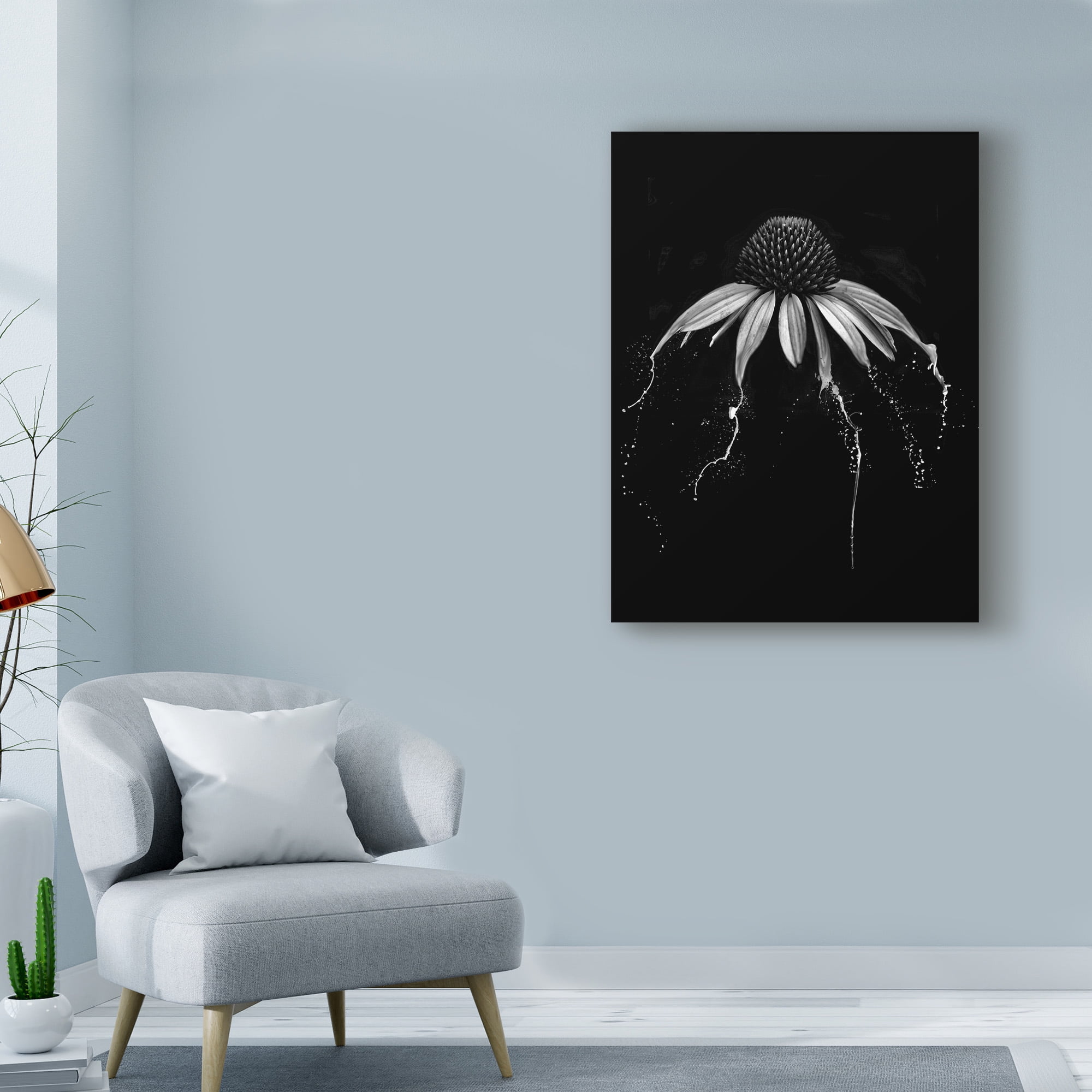 Echinacea Black And White' Canvas Art by Lori Hutchison