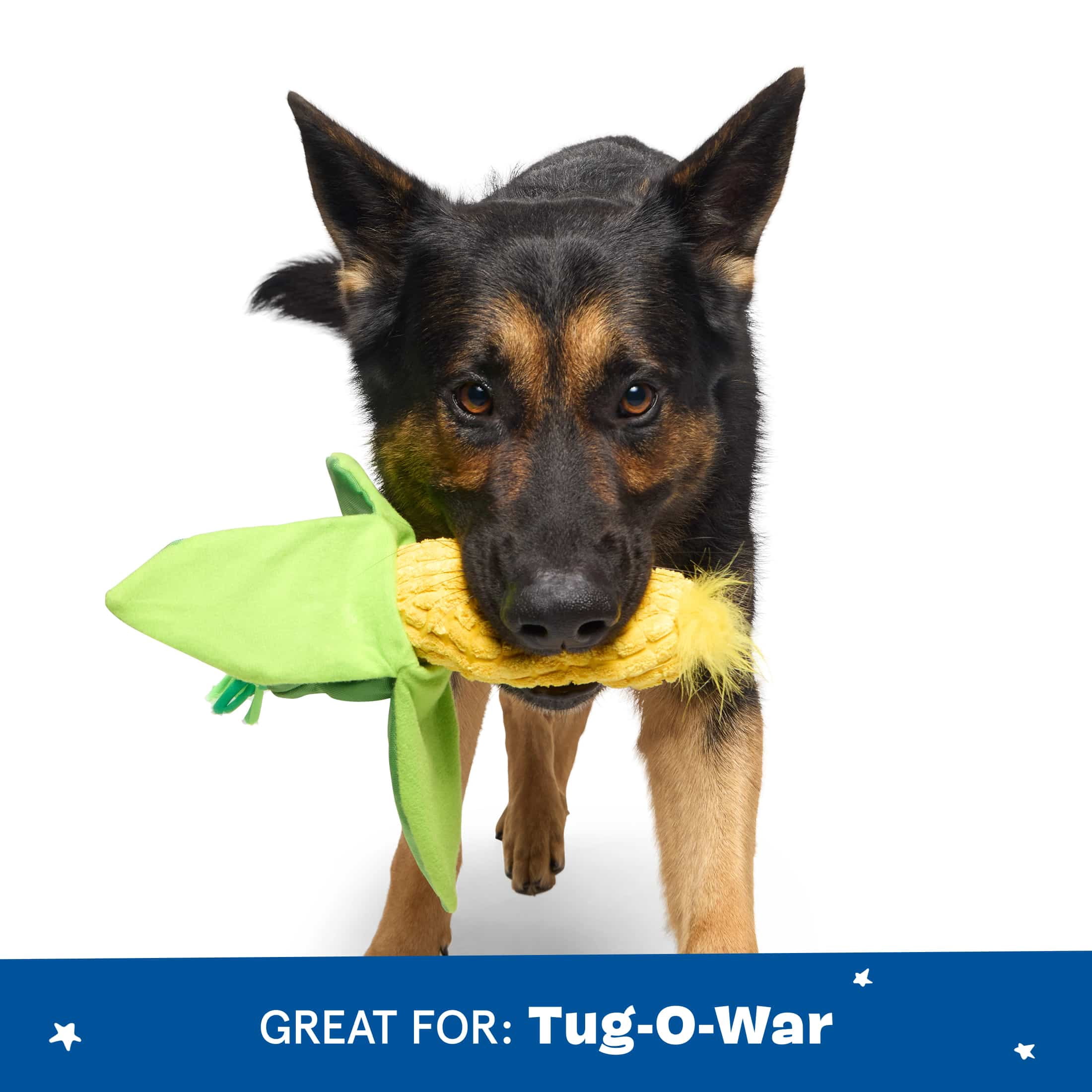 BARK Durable Corn on the Slob Interactive Dog Toy