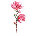 thumbnail image 2 of Wentin Direct Sale Tattoo accessories Ink Colorful Flower Tattoo Stickers Beautiful Collarbone Flower Arm Stickers Waterproof And Sweatproof Group Event Party Multi Design Colorful Artificial Tattoos, 2 of 8