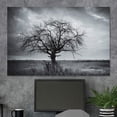 thumbnail image 3 of HFDF Canvas Wall Art A Wisdom Tree The Middle of a Grass Field Nature Wilderness Photography Modern Art Contemporary Dramatic Black and White for Living Room, Bedroom, Office - 18x12inch Framed, 3 of 4