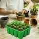 thumbnail image 1 of Aparatos de cocina, Accesorios de cocina, Bandeja para sembrar semillas, Kit para sembrar semillas, Bandejas para sembrar semillas, Kit y base para sembrar plantas, Mini invernadero, Kit de germinació, 1 of 8