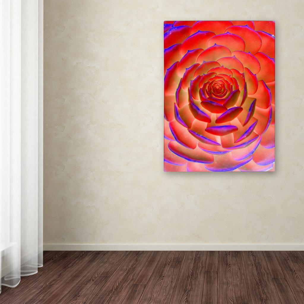 Trademark Fine Art "Plant Art" Canvas Wall Art by Patty Tuggle