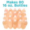 thumbnail image 4 of KSPtabs Kidney Health Supplement to Combat Calcium Oxalate Crystal Formation - Sunrise Citrus- Box of 8 Tubes, 4 of 6