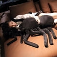 thumbnail image 3 of Creative Black Spider doll plush toy simulation Black Spider doll trick spoof props Halloween gift DMH, 3 of 5
