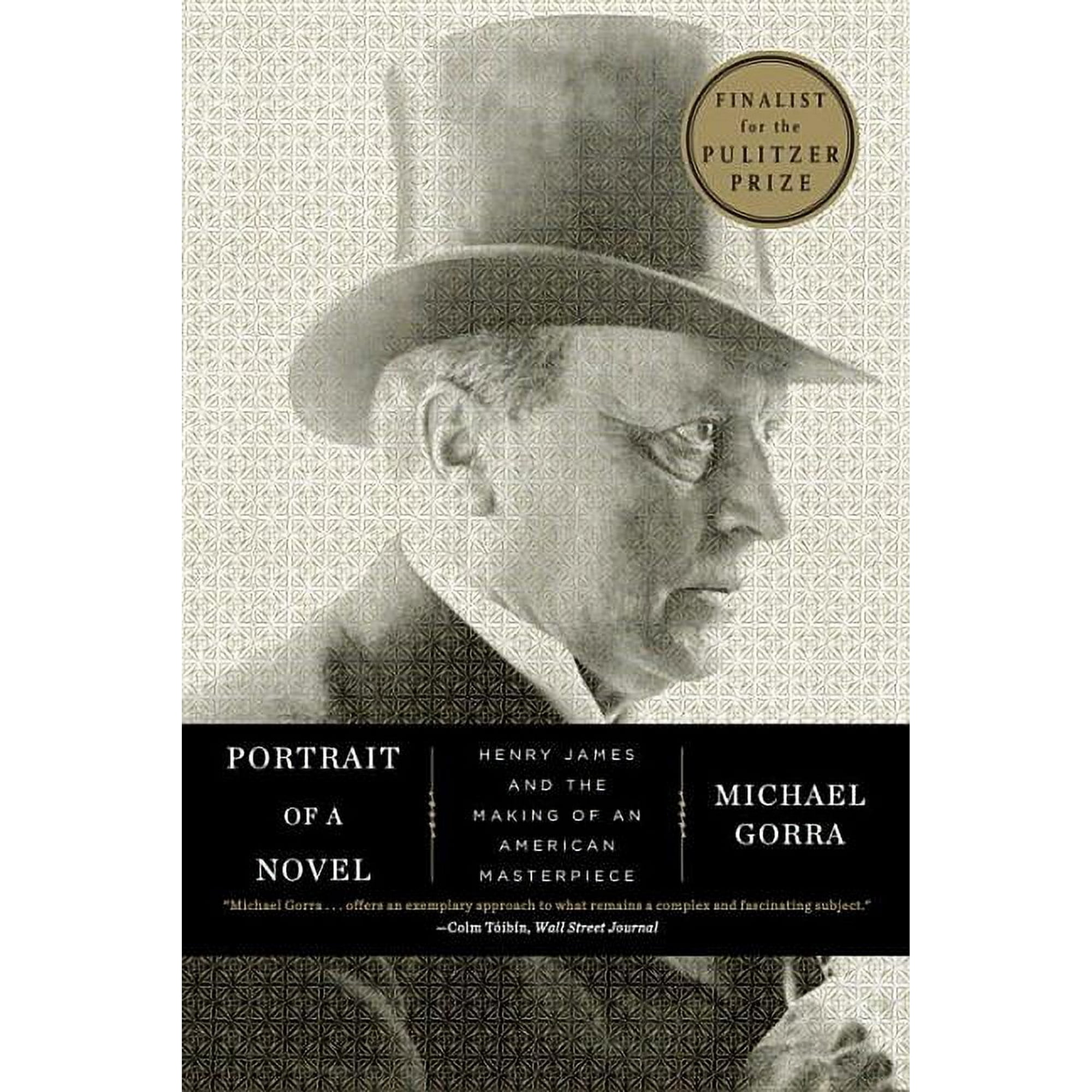 Portrait of a Novel: Henry James and the Making of an American Masterpiece (Paperback)
