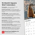 thumbnail image 5 of Meerkats | 2024 12x24" (Hanging) Monthly Square Wall Calendar | BrownTrout, 5 of 8