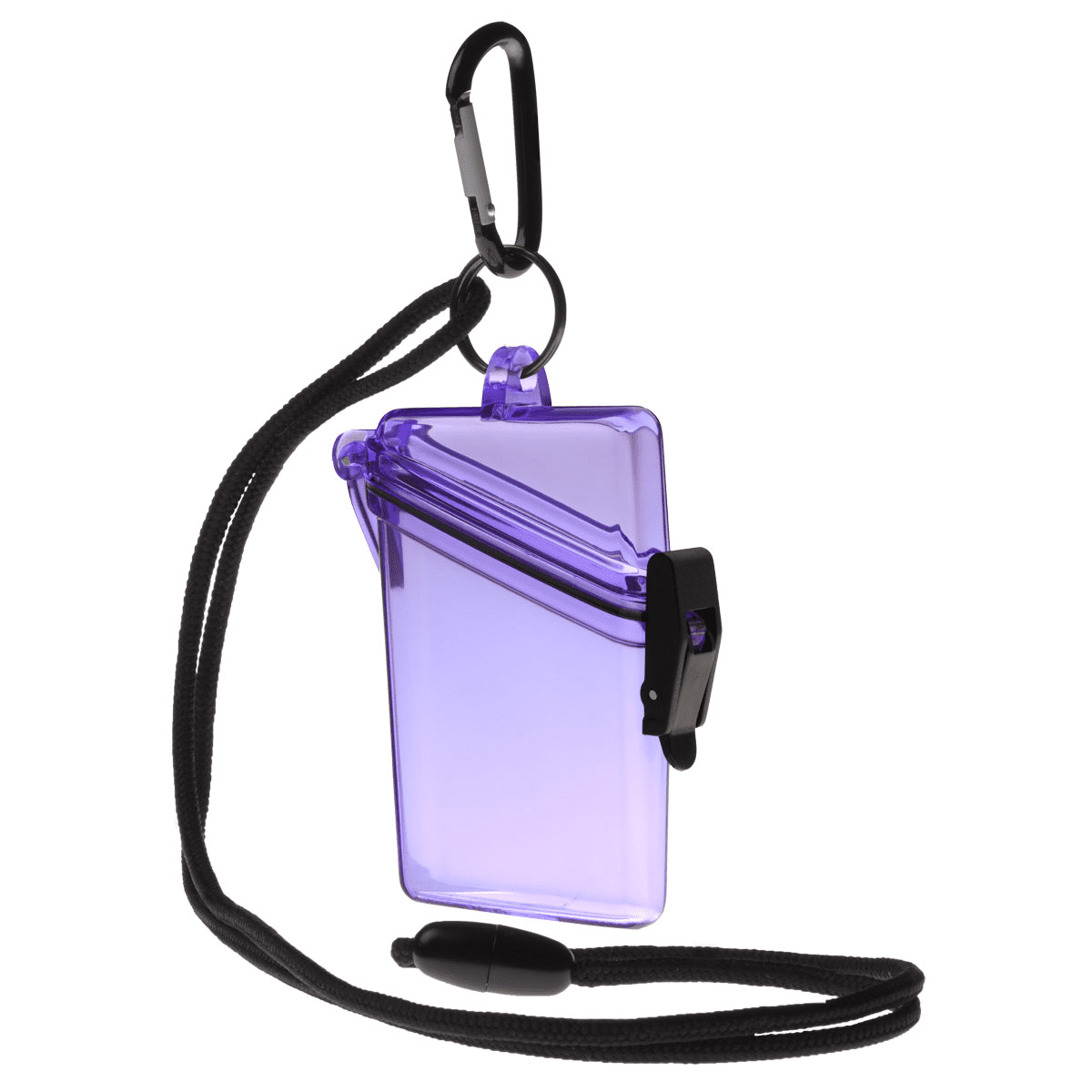 Witz See-It Safe Dry Case