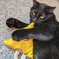 thumbnail image 3 of Meowijuana | Get Cheezy Bundle | Get Cheezy Refillable Cheese Toy and Whisker Tickler Catnip Blend | Promotes Play and Cat Health | Includes Organic Catnip, 3 of 3