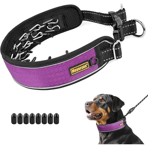 wonima02 Patented No Pull Collar for Small Medium Large Dogs Beagle German Shepherd Rottweiler, Martingale Anti Pull Dog Collar with Buckle for Walking Training, Reflective, Adjustable, Waterproof