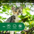 thumbnail image 4 of Tratamiento y prevención de pulgas Advantage II para gatitos de 2 a 5 libras, 4 of 9