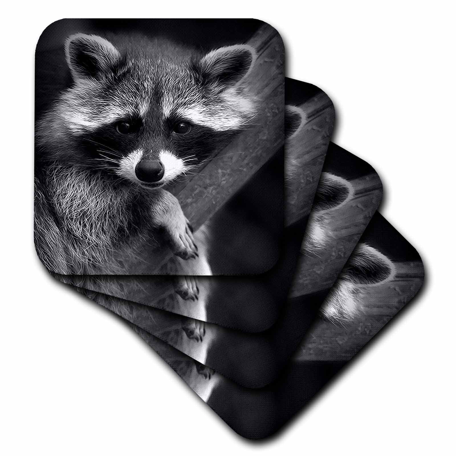 3dRose Two Raccoons Ceramic Tile 4-Inch