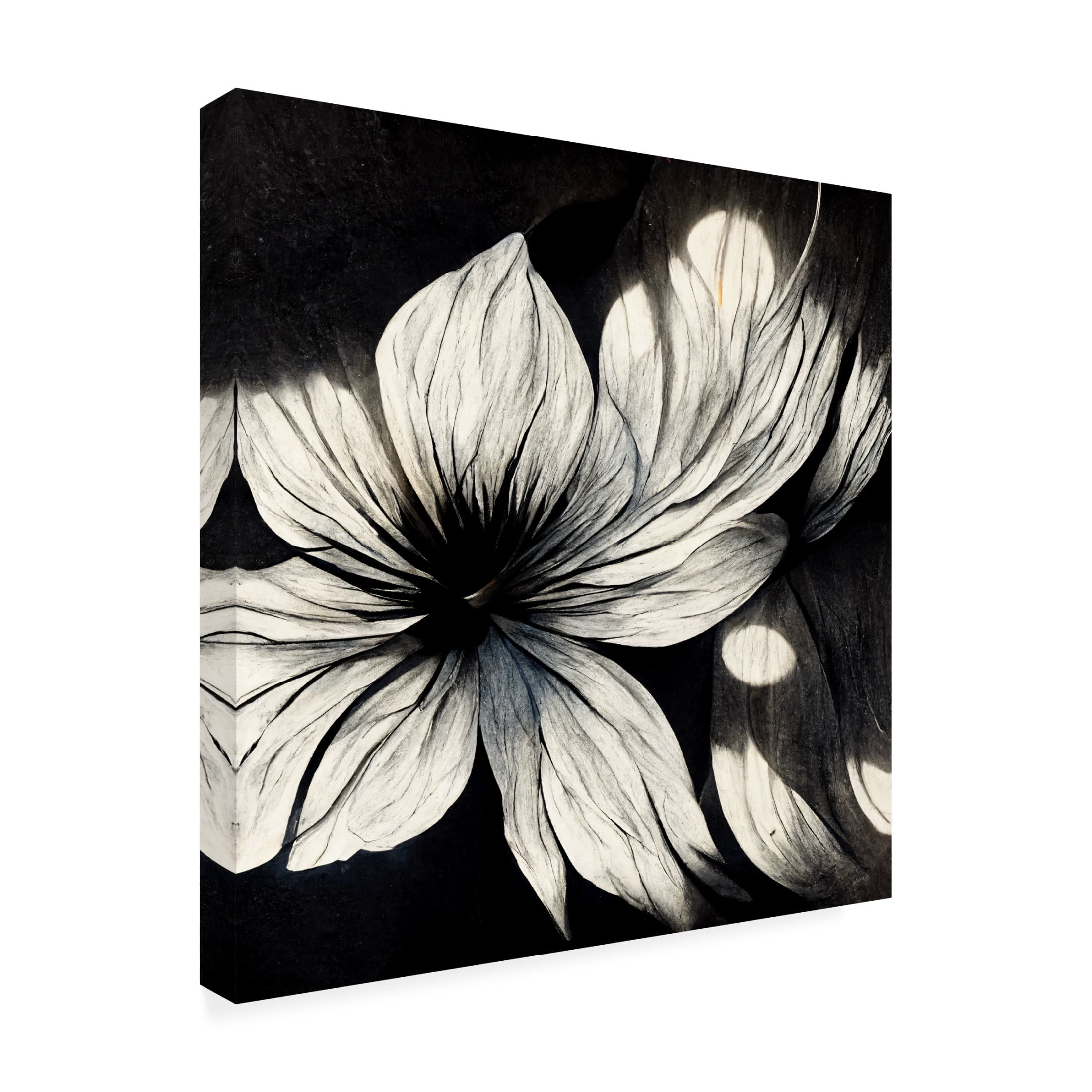 Canvas Wall Art - Ray Heere 'Flowers Black White 1' Wall Art for Living Room, Bedroom, or Office Décor by Trademark Fine Art - 35 x 35 Inches