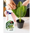 thumbnail image 3 of Sparkle Plenty Silk Sensation Fake Plant Cleaner 32oz, 3 of 3