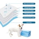 thumbnail image 3 of Pet Pee Pads CAILOS, pañal superabsorbente, 20 unidades, 45 x 33 cm, 3 of 8