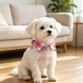 thumbnail image 3 of Gardjoe British Plaid Bow Tie Cat Collar with Gentleman Tuxedo Design and Jingle Bell for Small Cats Formal Dress Up Photo Prop, 3 of 5
