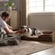 thumbnail image 5 of Cama para perros Bedsure Orthopedic XL Plus impermeable para tamaño extra grande, 5 of 7