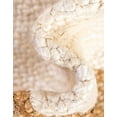 thumbnail image 6 of Unique Loom Braided Jute Collection Area Rug - Goa (3' 3" Round White/Natural), 6 of 7