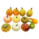 thumbnail image 2 of 12 piezas de calabazas artificiales de cosecha, modelo vegetal, material de espuma, decoración de Halloween, tamaños surtidos realistas para, 2 of 9