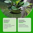 thumbnail image 5 of Solución nutritiva para plantas shaofei MOONSPRY líquido orgánico para crecimiento de flores 50 ml, 5 of 5