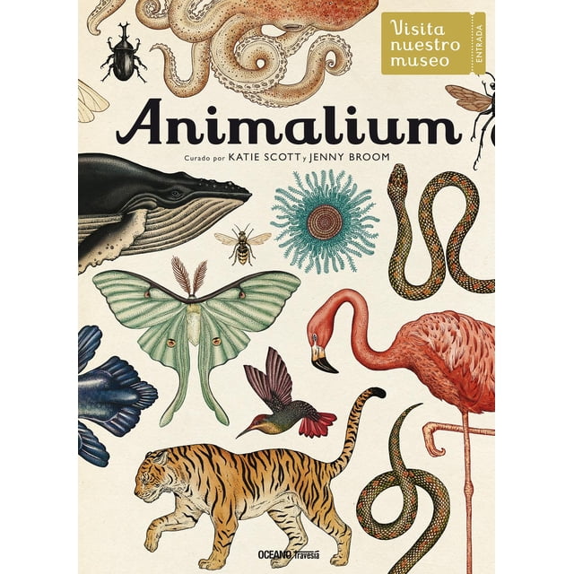 Animalium Blanco