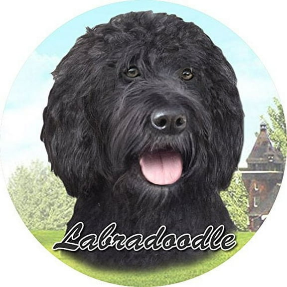 E&S Pets Absorbent Stone Car Coaster, Labradoodle Black