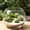 D, variant on 6-Piece Short Moss Artificial Stone for Plant Wall Decor, Realistic Faux Green Moss Rocks for Vertical Garden, Living Wall, Background Wall, Indoor Outdoor Decoration, Natural Stone Look, By Harlik
