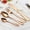 Rose Gold, variant on Luxtrada 4Pcs Flatware Rainbow Dinnerware Stainless Steel Tableware Set for Dinner Steak Soup Tea Fork Spoon Knife (Rose Gold)