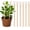 8PCS, variant on Copper Garden Stakes, 2026 Upgraded Electroculture Plant Stakes, Copper Rods for Garden, Electro Culture Gardening Antenna for Gardening Growing Plants and Vegetables (6PCS,13.5 Inches)