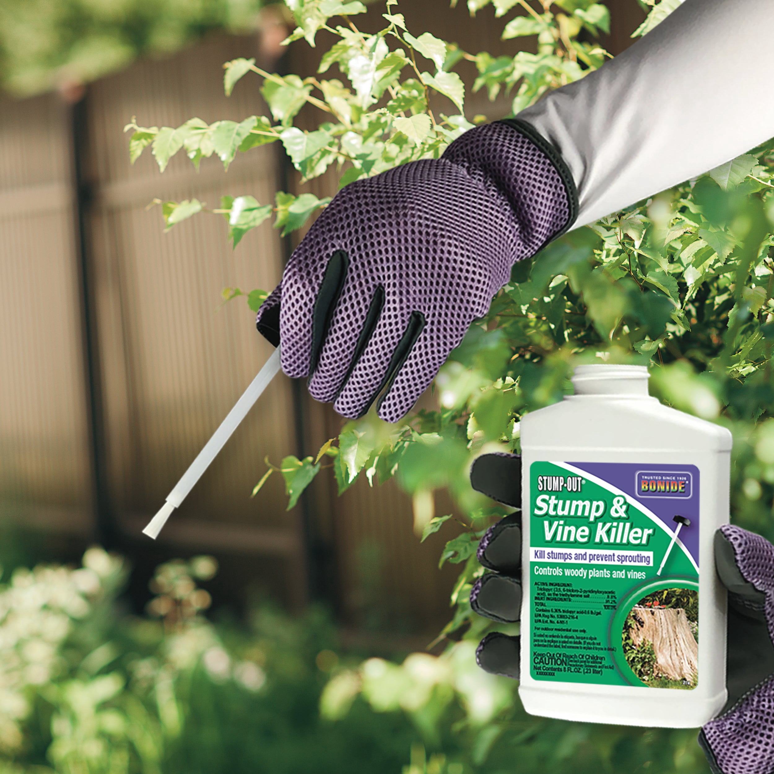Bonide 2746 8 oz Bottle Of Concentrate Liquid Stump and Vine / Woody Plant Control - Quantity of 2