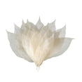 thumbnail image 2 of Arte de hojas de de para la decoración de de bricolaje Caja de de adorno de fabricación de tarjetas - magnolia Magnolia Gloria Hojas de esqueleto, 2 of 9