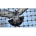 thumbnail image 2 of Bird X Bird Netting, Polypropylene, 1/2 In., 100 Ft. X 14 Ft., 2 of 3