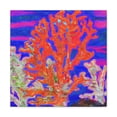 thumbnail image 2 of Coral's Wild Expression - Canvas, 2 of 25