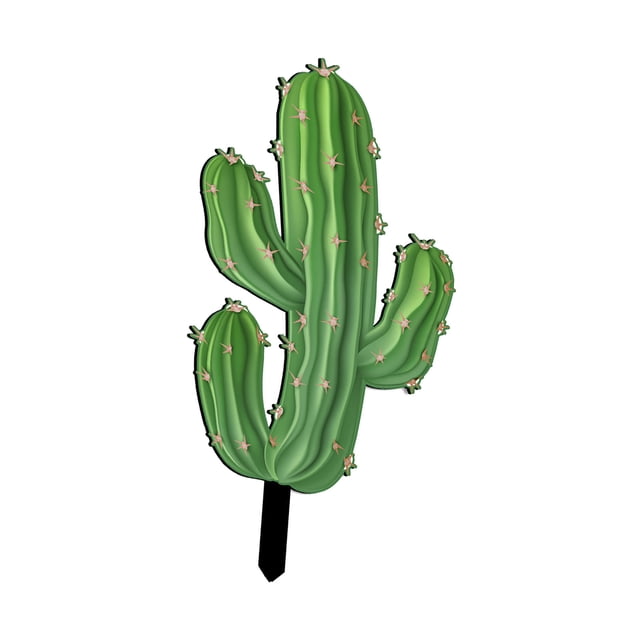Plantes Vertes Cactus Cour Jardin Décoration Extérieure Plugin
