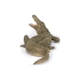 thumbnail image 6 of Nile Crocodile (Papo), 6 of 6