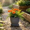 thumbnail image 4 of Hyknon Plants Pot, 4.7 " Scalloped Rim Flower Pot with Drainage Holes Saucers, Thick Small Planters Nursery Pots, Drop-Resistant Plastic Garden Pot for Indoor Succulents Snake Plants Cactus, Gray, 4 of 7