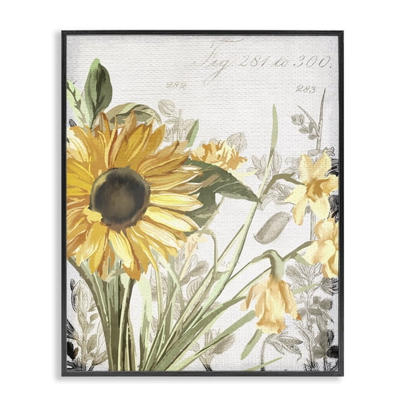 Stupell Industries Cottage Sunflower Floral over Vintage Plant Black Framed Giclee Art, 11 x 14, by Kim Allen