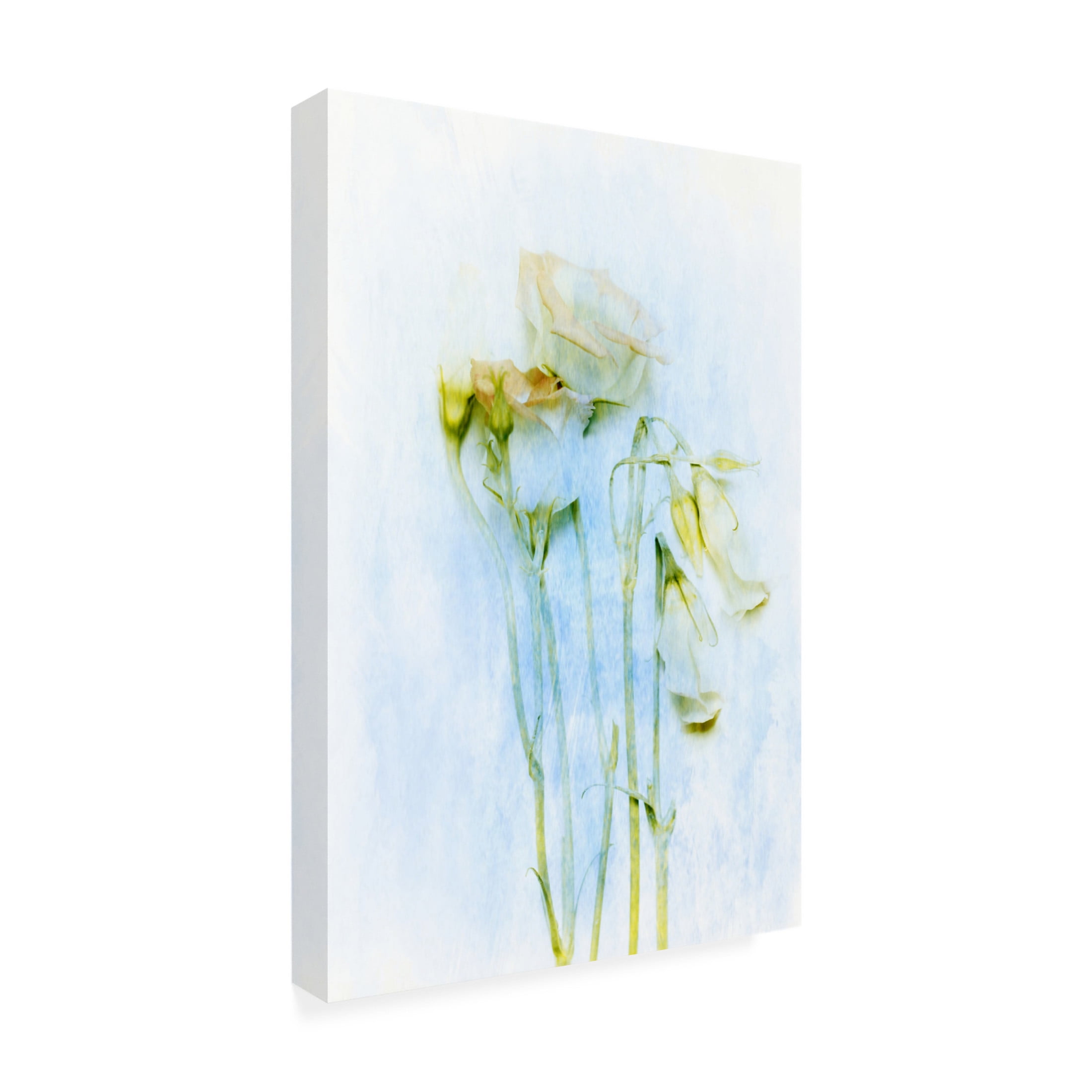 Canvas Wall Art - Delphine Devos 'The Unconscious Beauties' Wall Art for Living Room, Bedroom, or Office Décor by Trademark Fine Art - 30 x 47 Inches