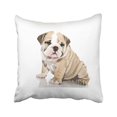thumbnail image 1 of RYLABLUE Cute Shapi Dog Sit Quietly Decorative Pillowcases With Hidden Zipper Decor Cushion Covers Two Sides 18x18 inches, 1 of 1