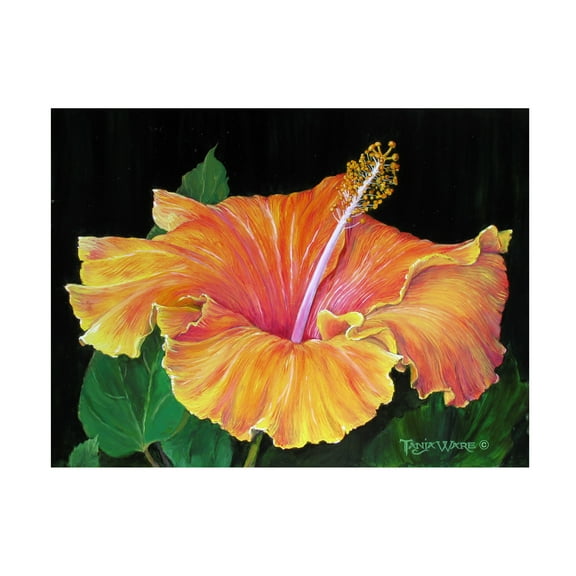 Tanja Ware 'Hibiscus' Canvas Art