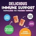 thumbnail image 6 of Kids Immune Support Gummies - Vitamin C, Zinc & Echinacea Children's Daily Immune Health Support Gummy Supplement for Ages 4 and Up, Natures Kid's Vitamin C Gluten-Free & Non-GMO, Vegan - 120 Gummies, 6 of 10