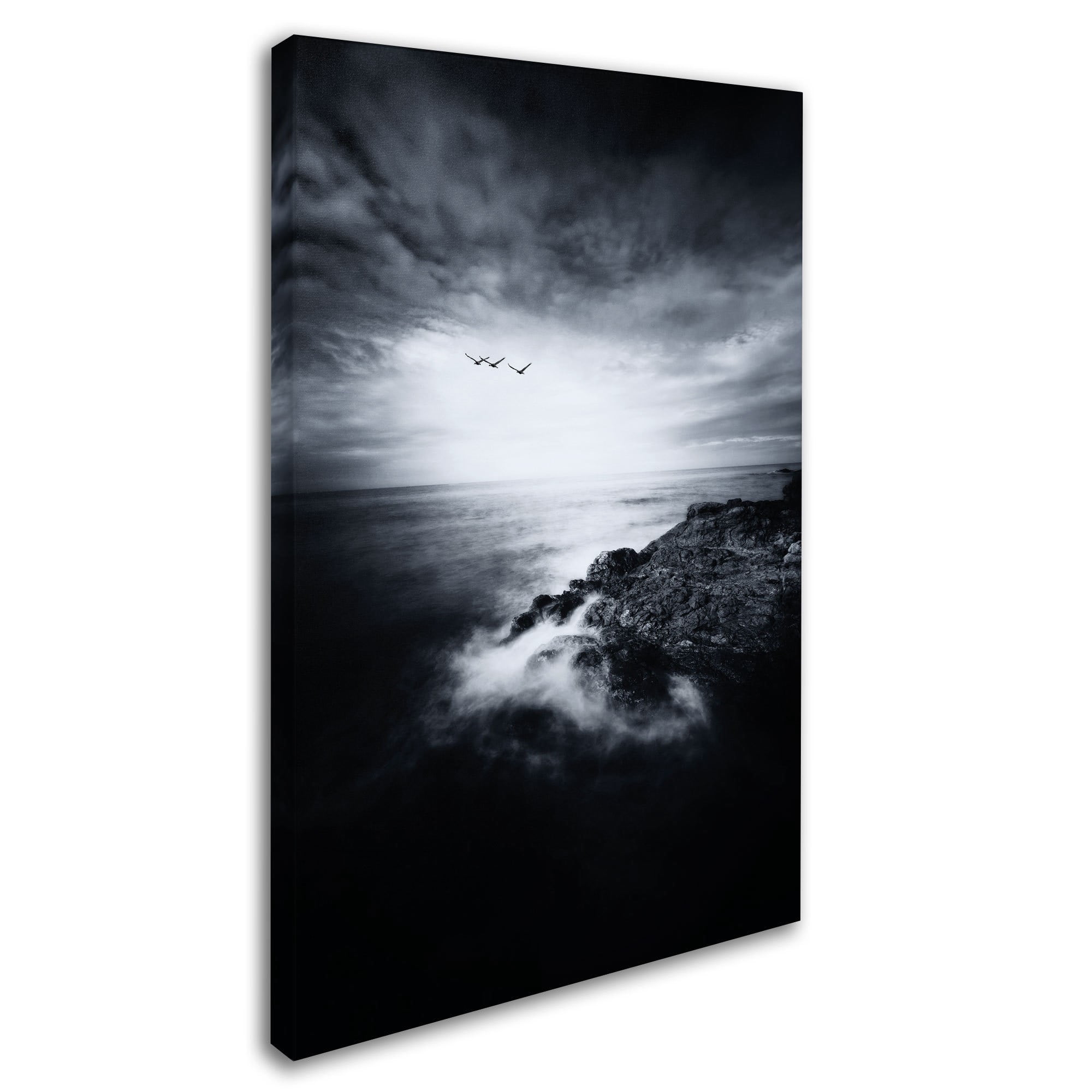 Trademark Fine Art "Bring Me Home" Canvas Art by Philippe Sainte-Laudy