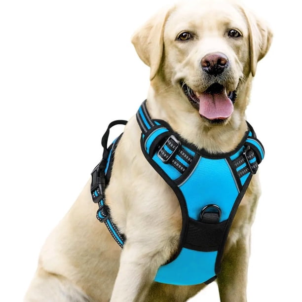 Correa para perro, pecho para mascota, correa de nailon para perro, correa para el pecho para perro grande, suministros para mascotas