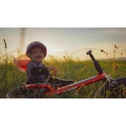 Strider 12 Sport Bike, Red - No Pedal Balance Bicycle for Kids 1 to 4 Years - Includes Safety Pad, Padded Seat, Mini Grips, Flat-Free Tires -Easy Assembly, Tool-Free Adjustments