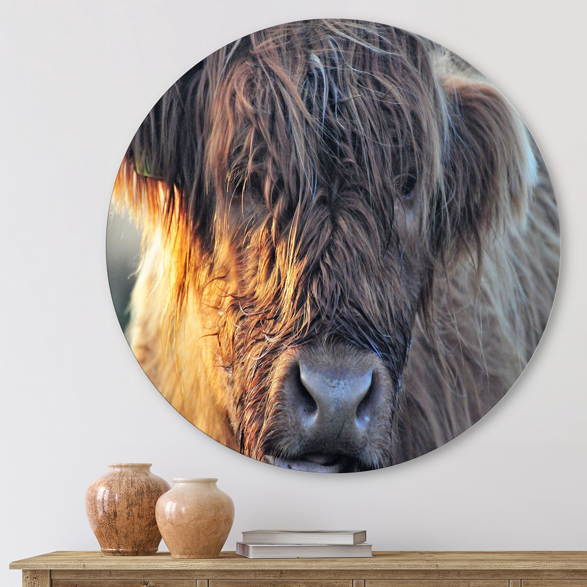 Designart 'Close Up Of Scottish Cow On Moorland III' Farmhouse Circle Metal Wall Art 23x23 - Disc of 23