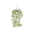 thumbnail image 1 of Eucalytus Hanging Bush, 1 of 3