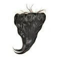 thumbnail image 1 of Malaysian Silky Straight Lace Frontal, 1 of 1