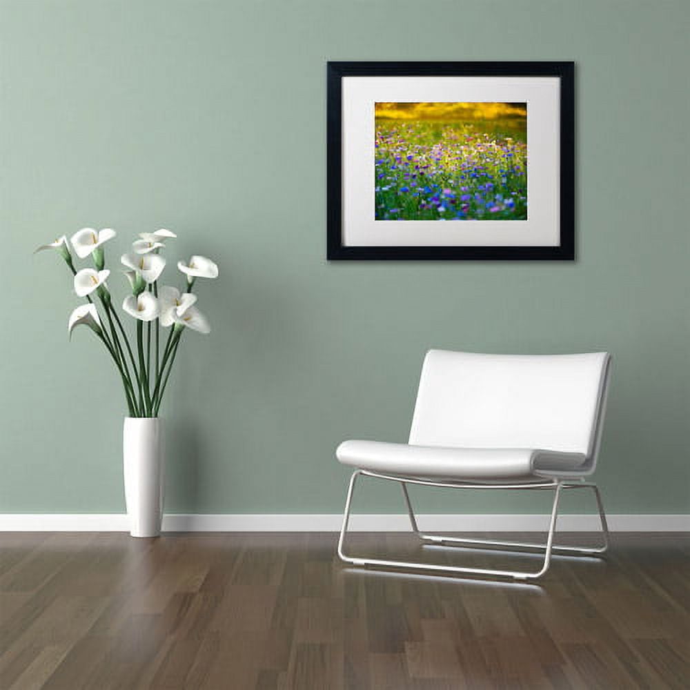 Trademark Fine Art "Candy Fields" Canvas Art by Philippe Sainte-Laudy, White Matte, Black Frame