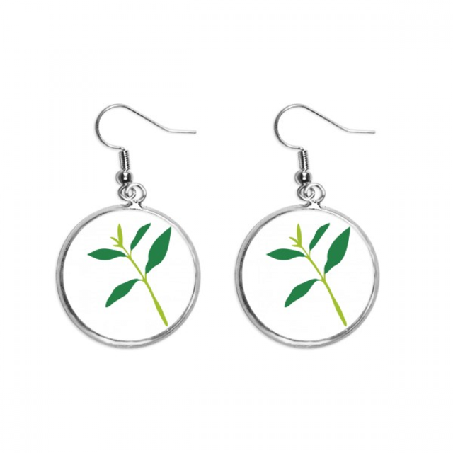 Pendientes pendientes de plata colgantes joyas señora Unbranded M